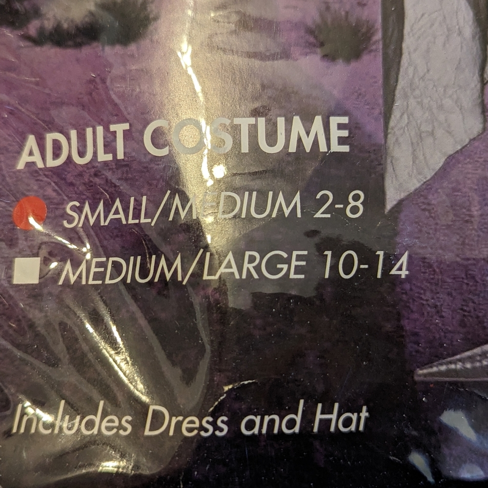 Witch Costume for Adults - Picture 2 of 4